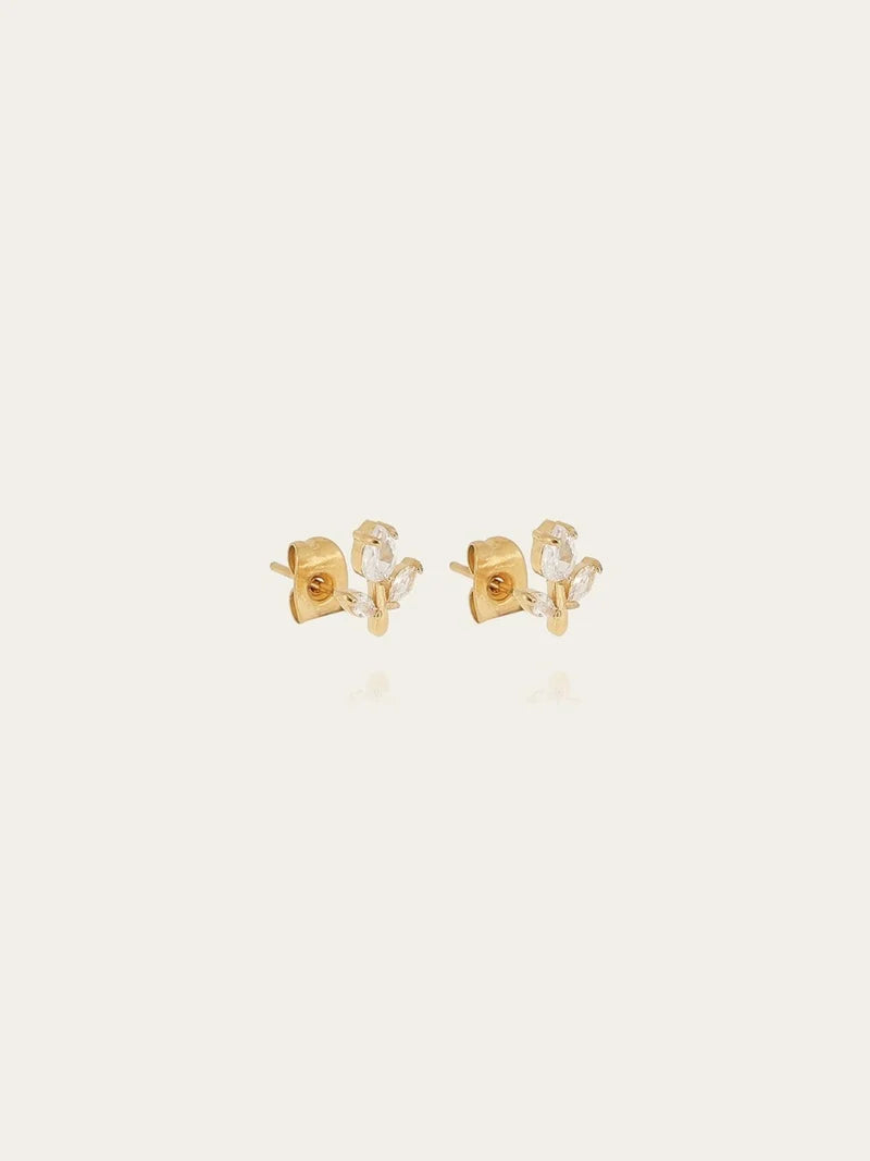 ZAG-Circee Earrings
